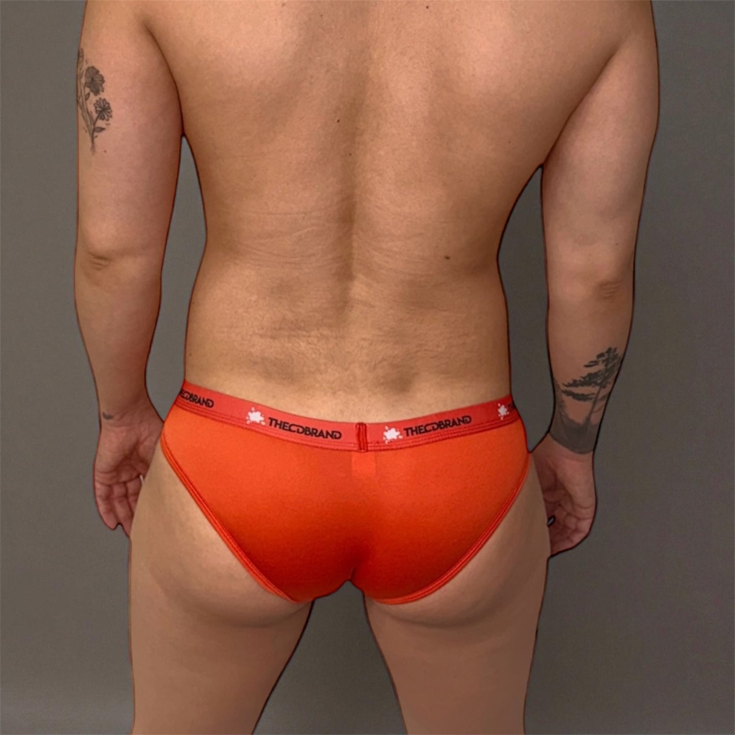 Red Bikini Briefs